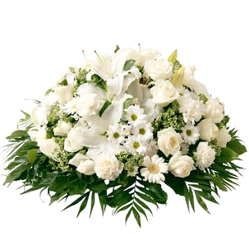 flori 6