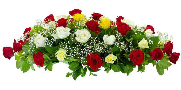 flori 7